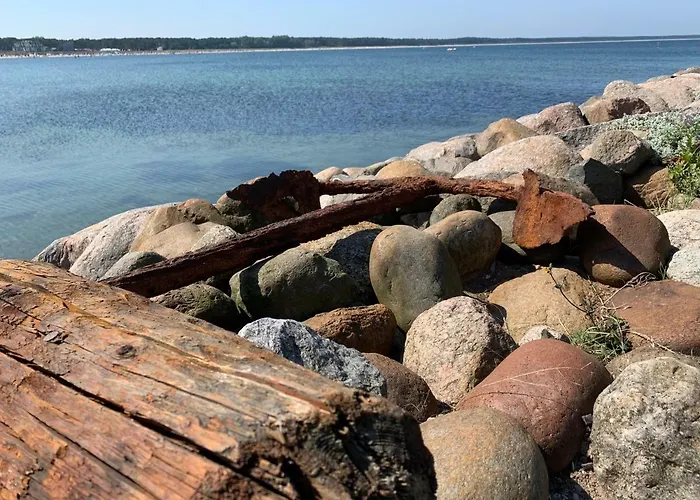 Heimathafen Am Boddenmarkt Appartement